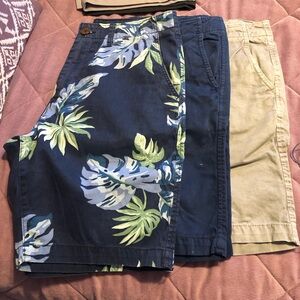 American Eagle Outfitters Navy Tropical Print Flat Front Shorts